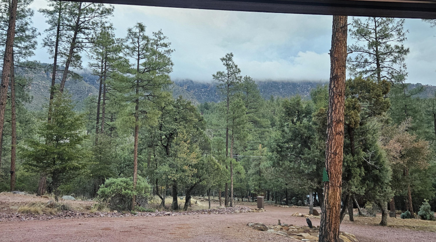 VIEW TO FRONT YARD FROM HOME