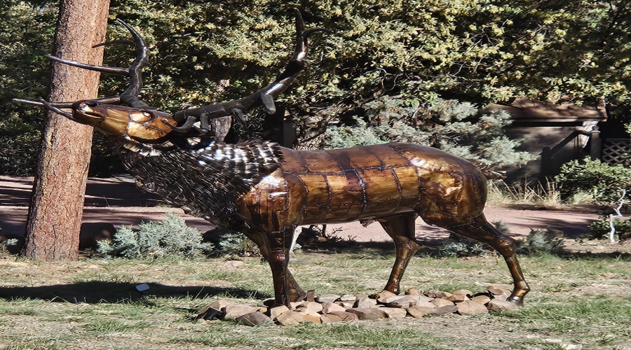 Stunning Elk Yard Decor