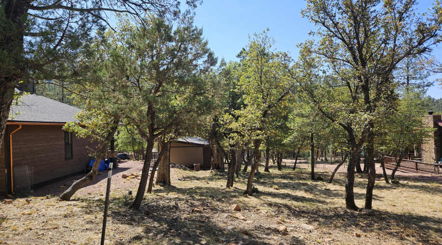 Lots of Room for a GUEST HOUSE!