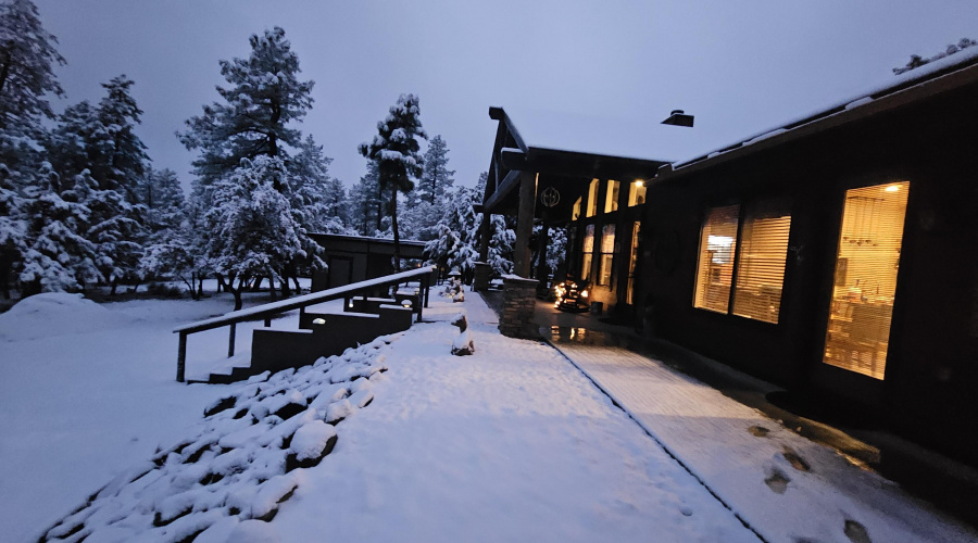 GORGEOUS SNOWFALL AT DUSK