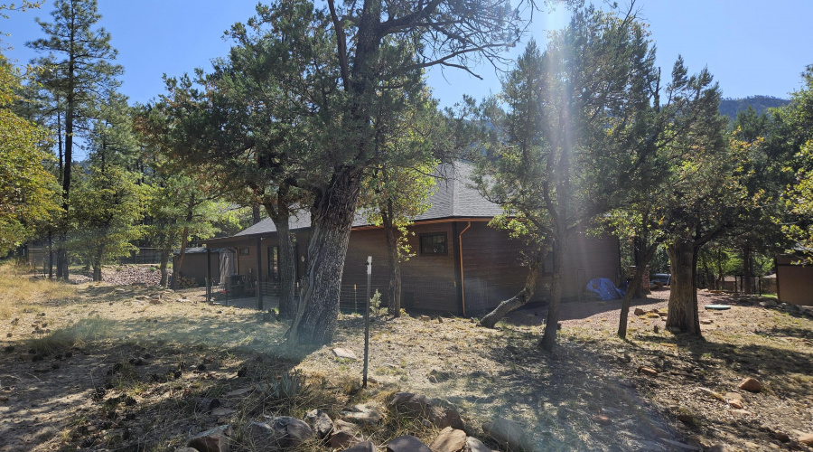 Partial Rear Yard View