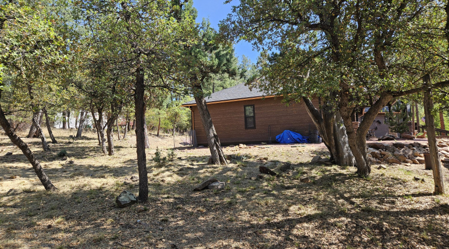 Side Yard Partial View
