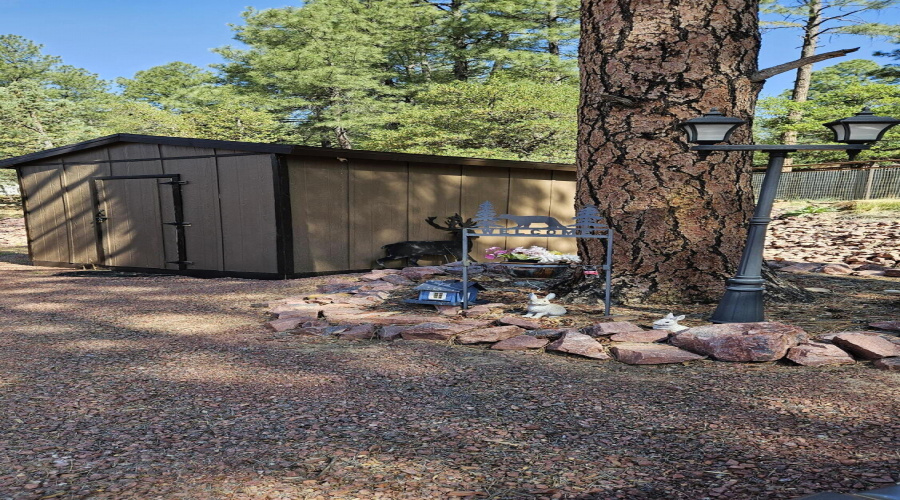 Storage Shed #1