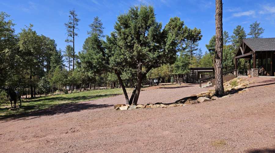 Driveway View over portion of Front Yard