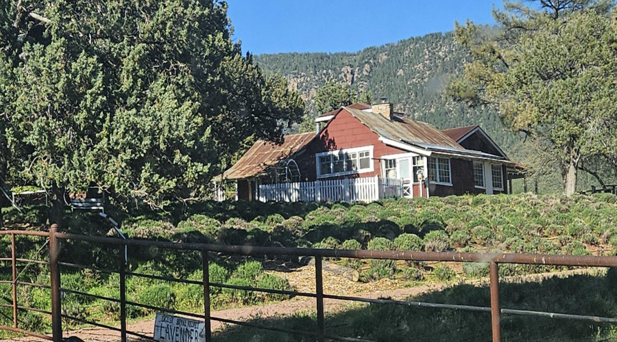 Lavender Farm within 1 Mile