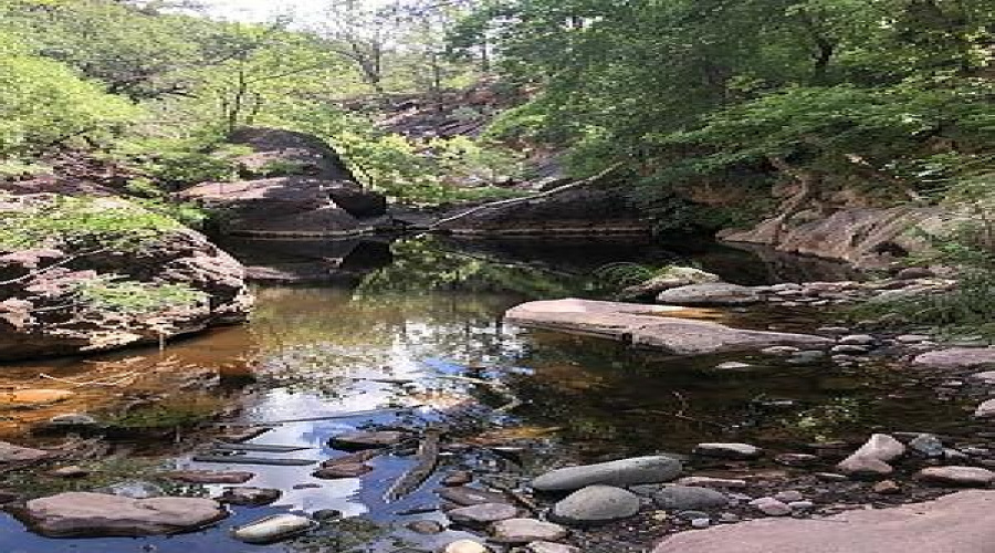 Local Pine Creek