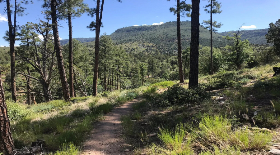 Hiking Pine Arizona