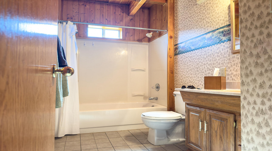 MLS 5002 Horseshoe Dr Bath_3412