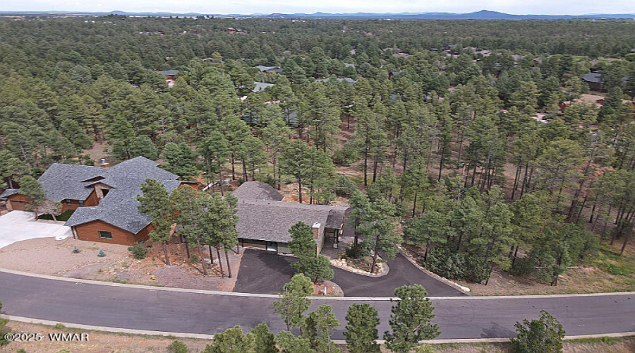 Drone View