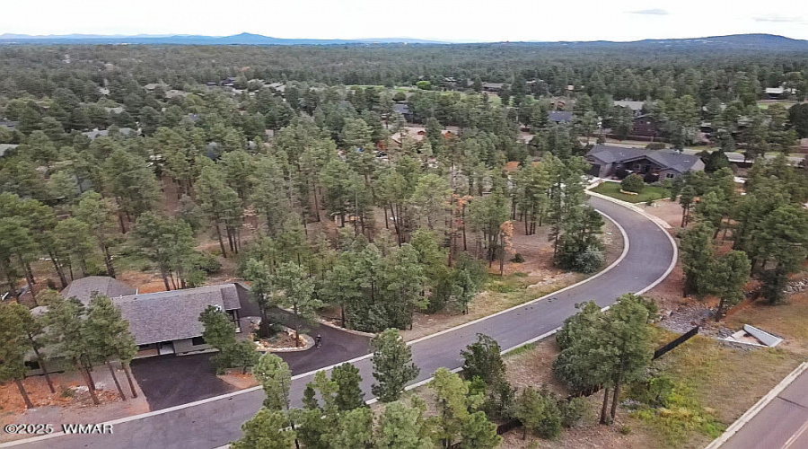 Drone Street View
