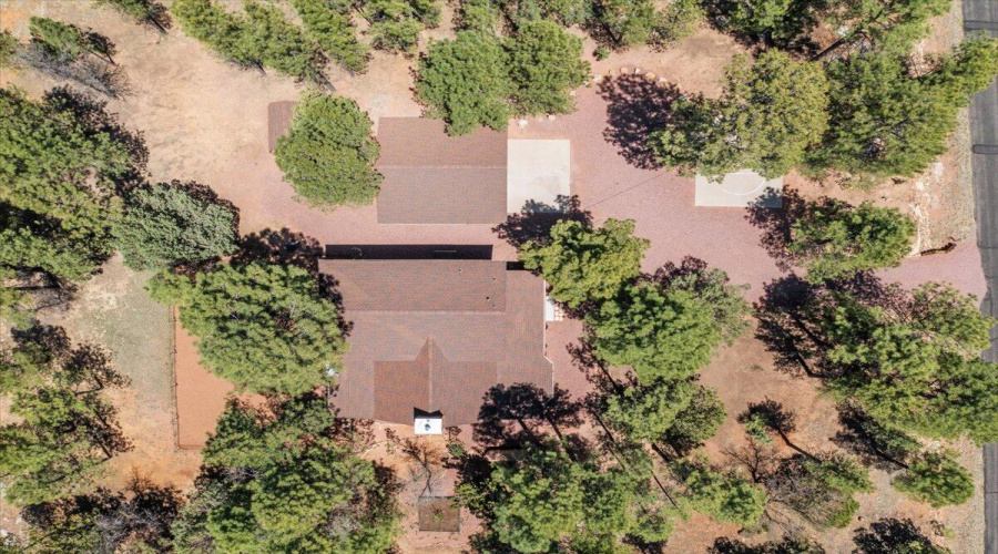 21-DJI_0807