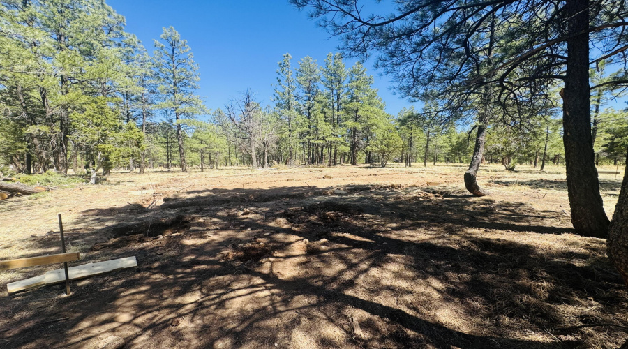 Site area