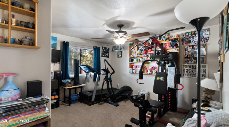 Exercise Room / Bedroom 3