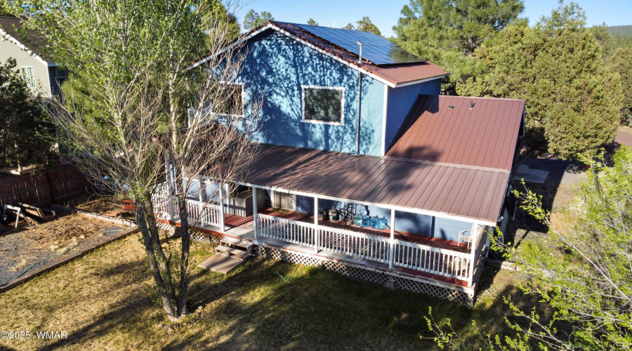 Aerial of back