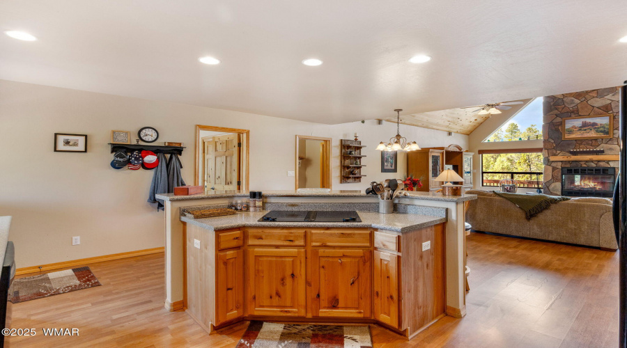2761JaguarCir-HeberOvergaard-AZ-13