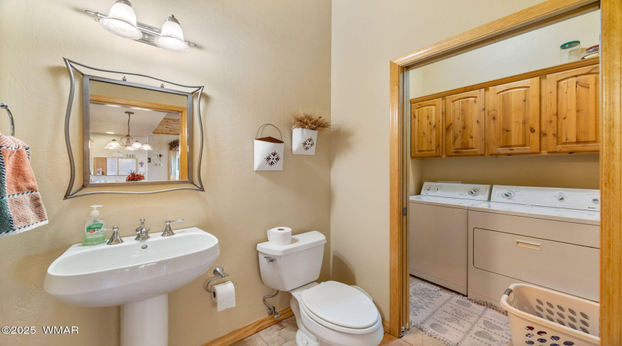 2761JaguarCir-HeberOvergaard-AZ-14