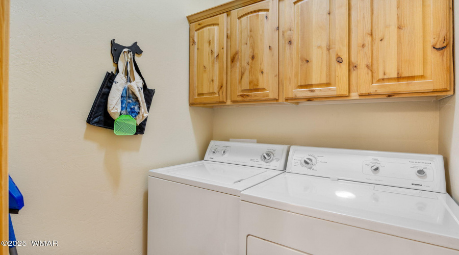2761JaguarCir-HeberOvergaard-AZ-15