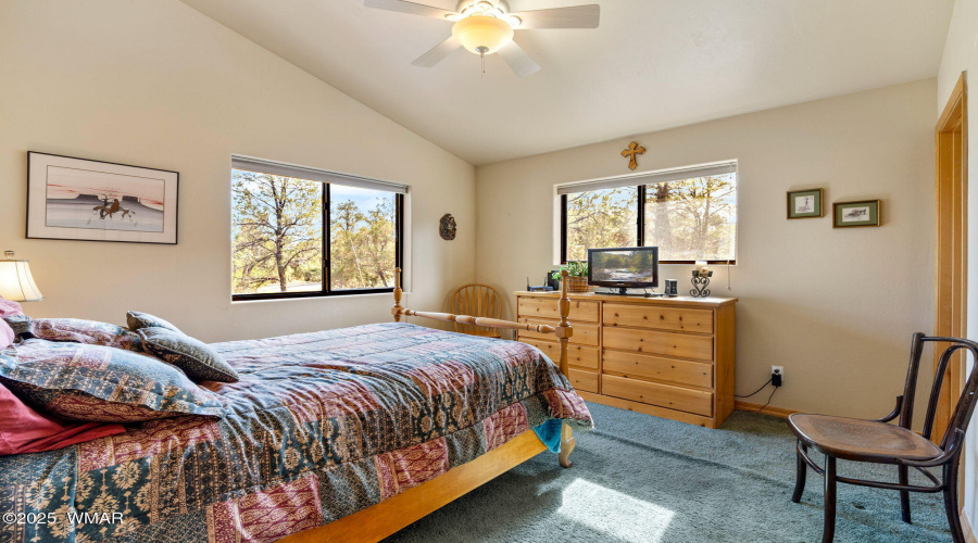 2761JaguarCir-HeberOvergaard-AZ-19
