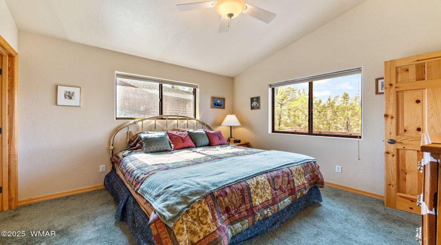 2761JaguarCir-HeberOvergaard-AZ-23