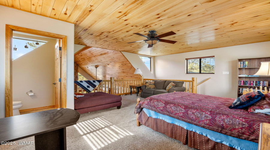 2761JaguarCir-HeberOvergaard-AZ-25