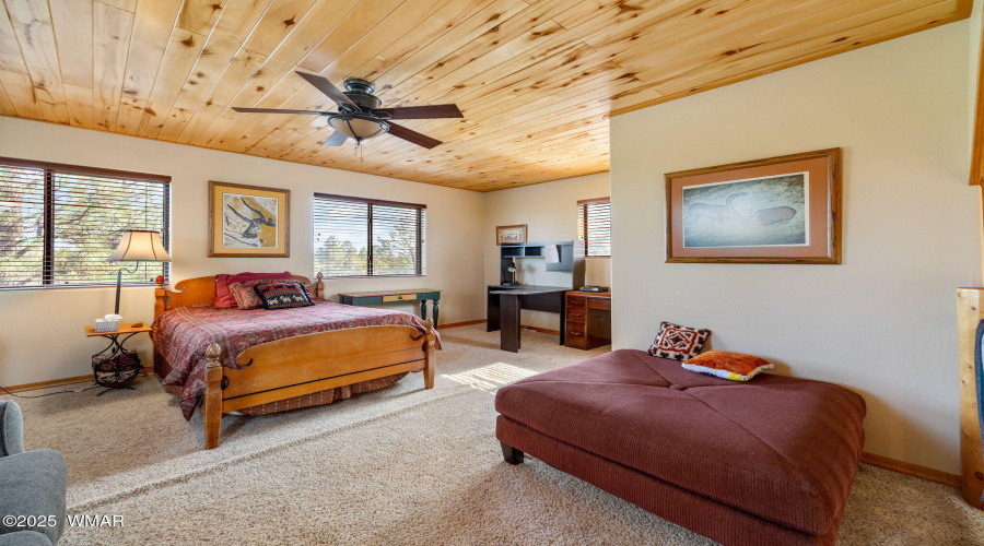 2761JaguarCir-HeberOvergaard-AZ-26