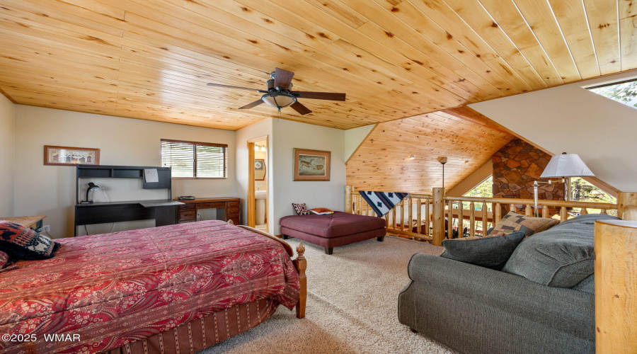 2761JaguarCir-HeberOvergaard-AZ-27