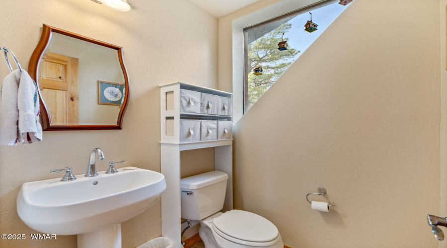 2761JaguarCir-HeberOvergaard-AZ-28