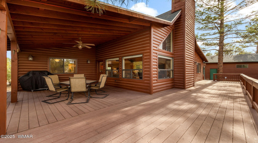 2761JaguarCir-HeberOvergaard-AZ-29
