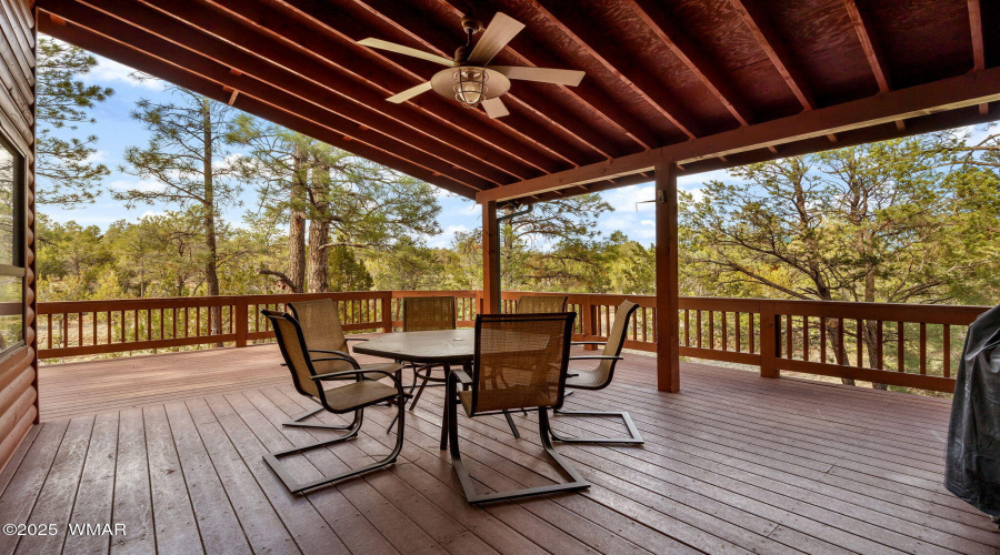 2761JaguarCir-HeberOvergaard-AZ-30