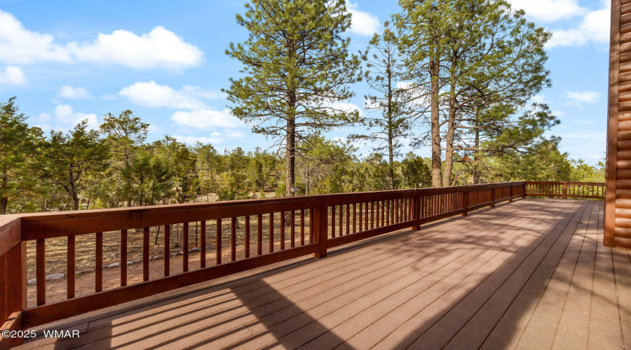 2761JaguarCir-HeberOvergaard-AZ-31