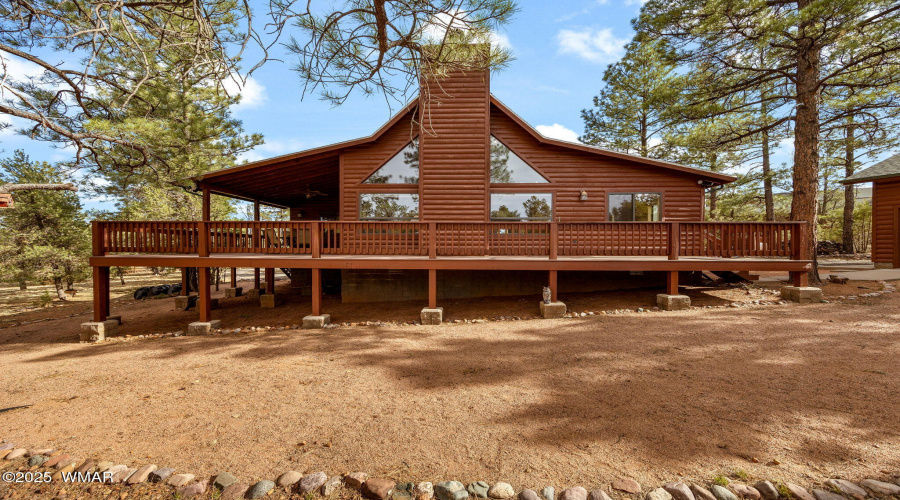 2761JaguarCir-HeberOvergaard-AZ-32