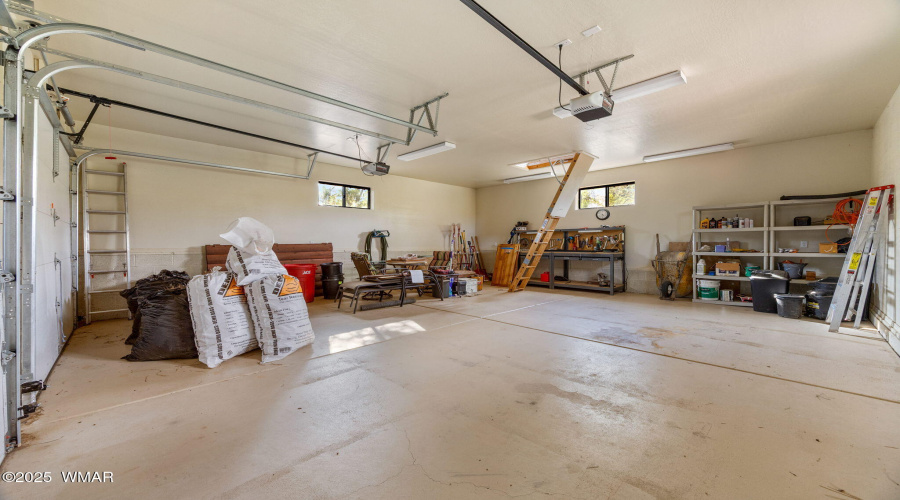 2761JaguarCir-HeberOvergaard-AZ-34