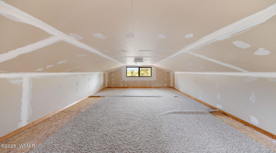 2761JaguarCir-HeberOvergaard-AZ-35