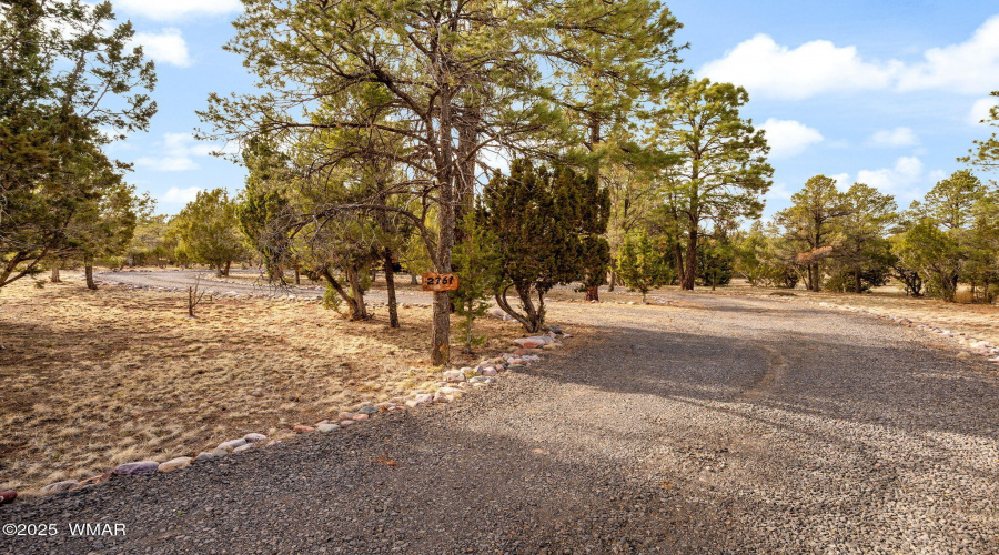 2761JaguarCir-HeberOvergaard-AZ-2