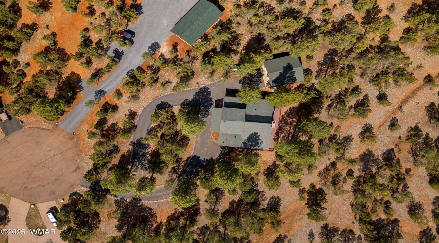 2761JaguarCir-Overgaard-AZ-4