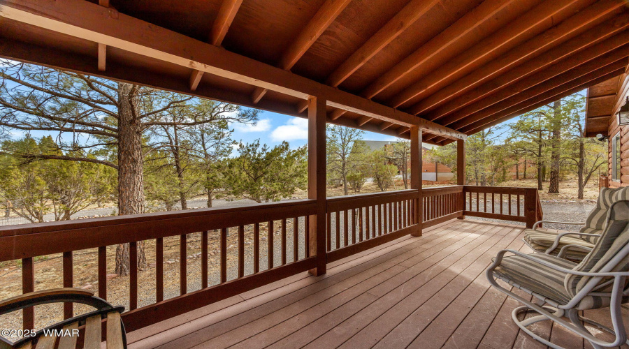 2761JaguarCir-HeberOvergaard-AZ-5