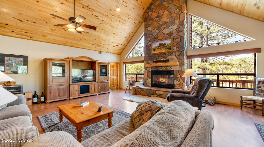 2761JaguarCir-HeberOvergaard-AZ-7