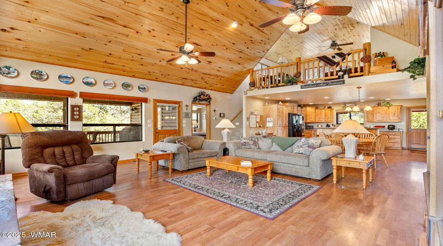 2761JaguarCir-HeberOvergaard-AZ-8