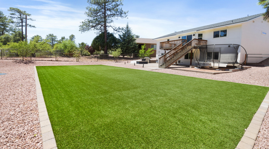 Backyard 3