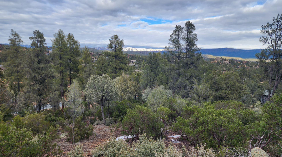 View 3