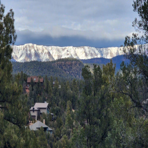 View 1