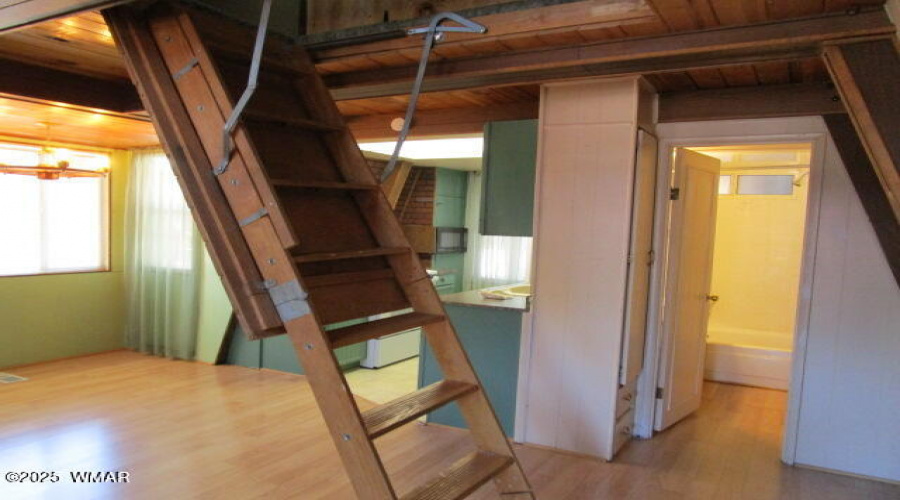 Loft access