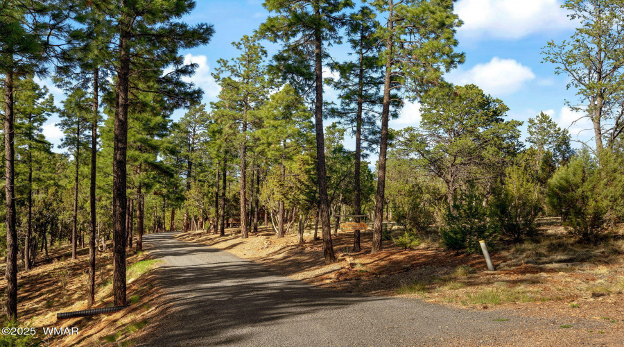 2352ImmelmanCir-Overgaard-AZ-42