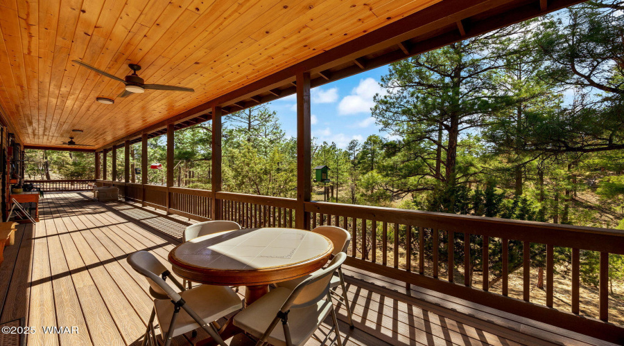 2352ImmelmanCir-Overgaard-AZ-4