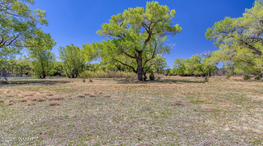 Peninsula Land - larson rd property rain