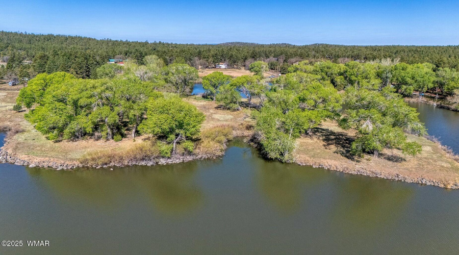 Lake Shoreline - Larson rd property rain
