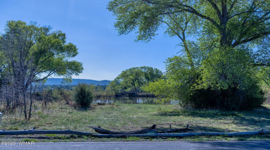 Tranquil Lakefront View - Larson rd prop