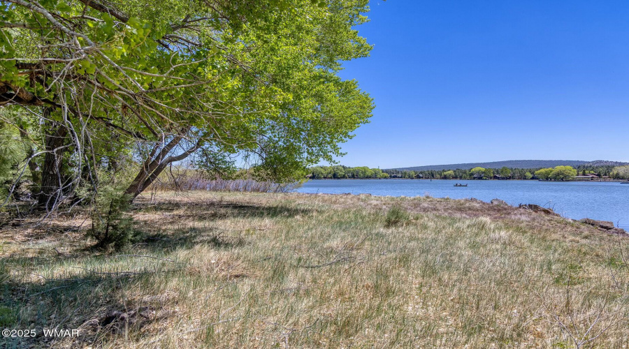 Lake View from Peninsula - larsen rd pro