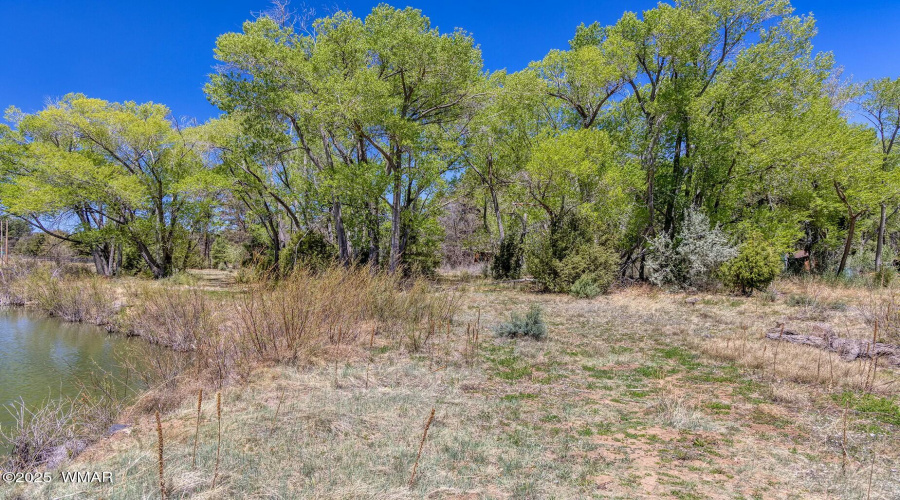 Lakefront Vegetation - Larson rd propert