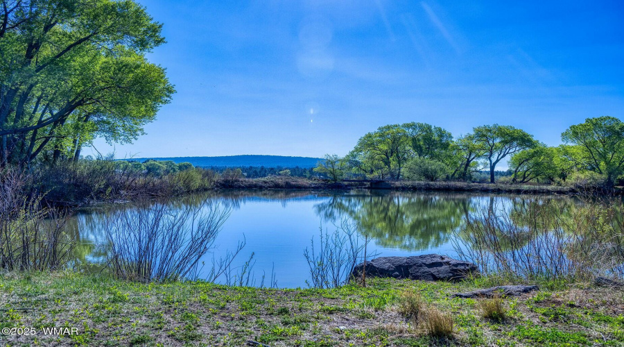 Lakefront Property Tranquility - larson